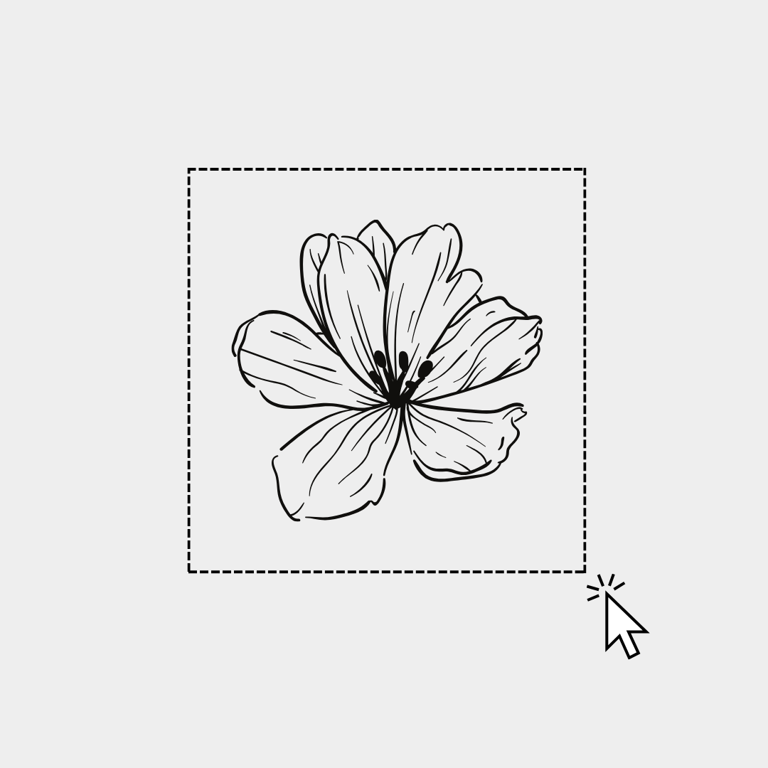 Vectorización de elementos gráficos