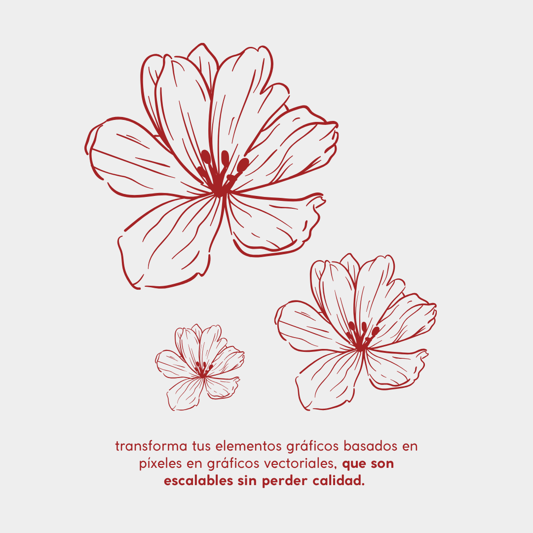 Vectorización de elementos gráficos