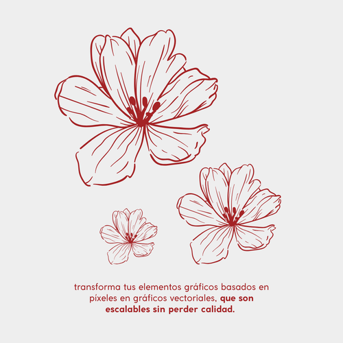 Vectorización de elementos gráficos